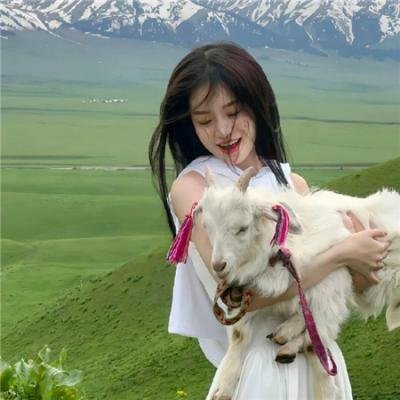 妄想学生会第二季