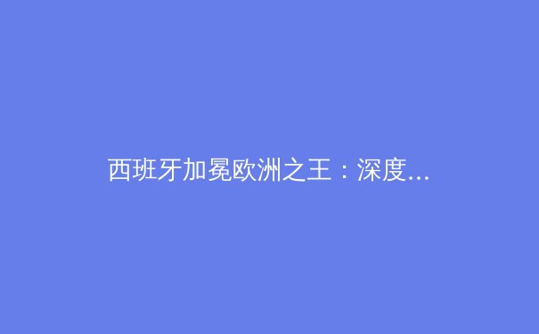 西班牙加冕欧洲之王：深度解析斗牛士军团如何击败三狮军团 - 4